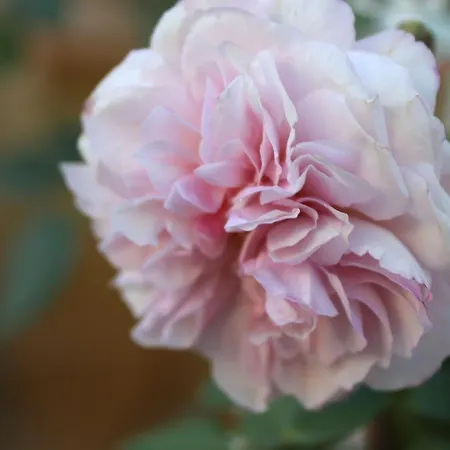 Cityhotel Am Domplatz Self-checkin 3* Klagenfurt am Wörthersee