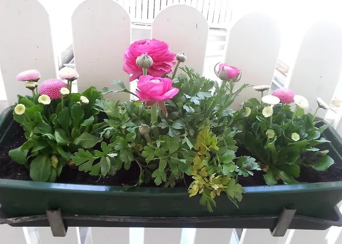 Hotel Cityhotel Am Domplatz Self-checkin 3*