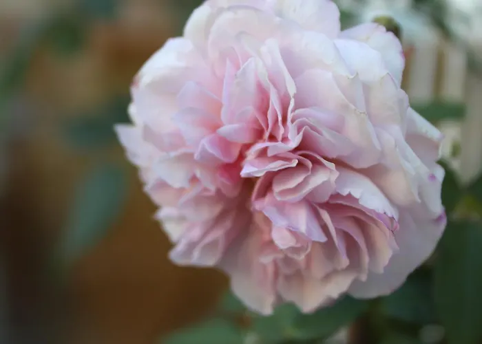 Cityhotel Am Domplatz Self-checkin 3* Klagenfurt am Woerthersee