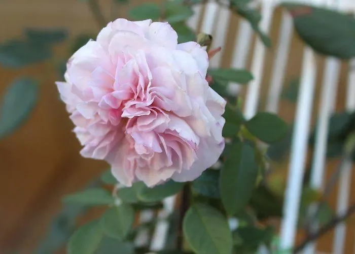 Cityhotel Am Domplatz Self-checkin 3* Klagenfurt am Woerthersee